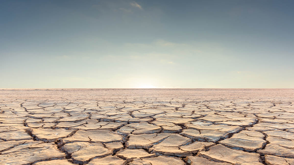 Dry, cracked earth under a sunset sky