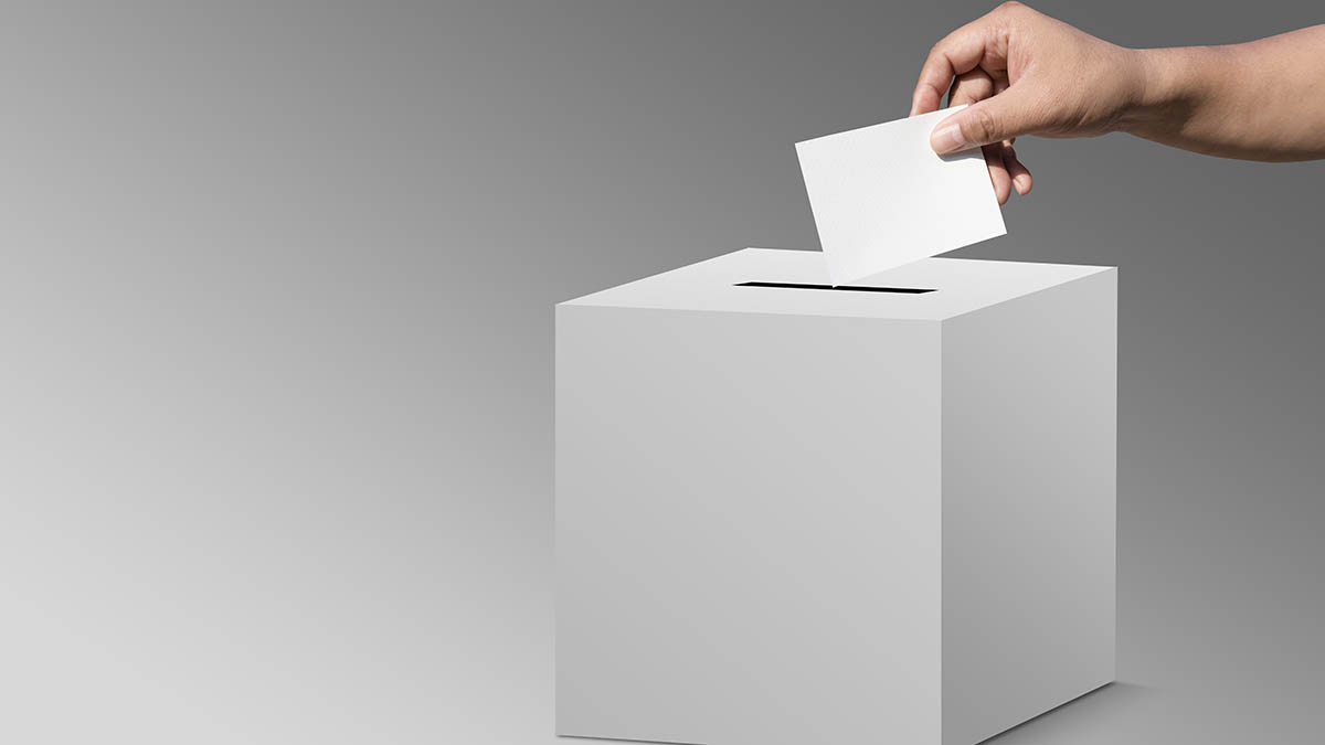 Voters and the electoral process