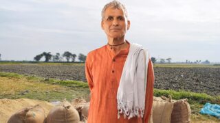 Farmer standing in a green paddy field